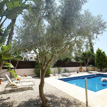 Unique Beach Luxurious Villas Ayia Napa Eksteriør billede