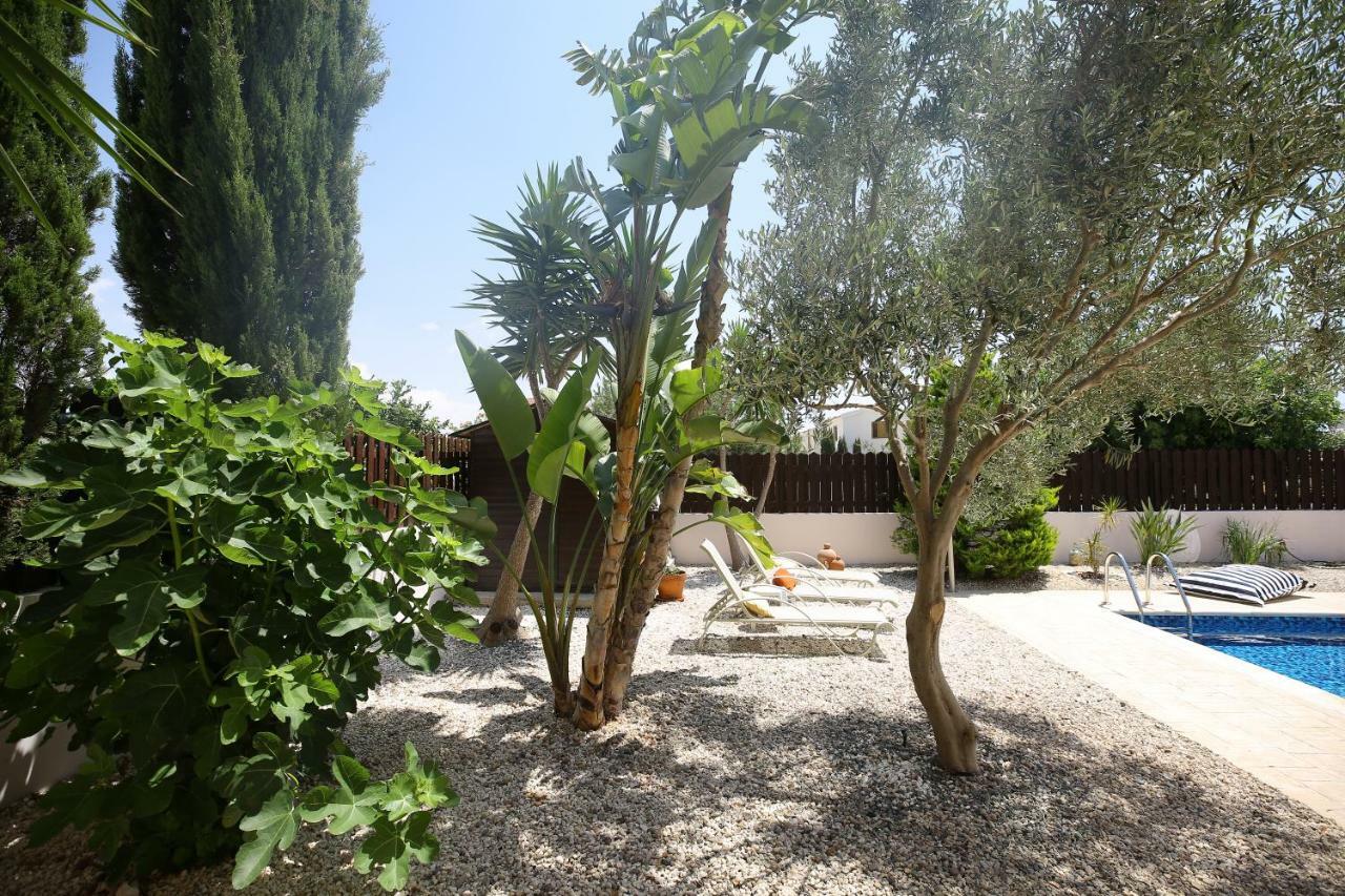 Unique Beach Luxurious Villas Ayia Napa Eksteriør billede